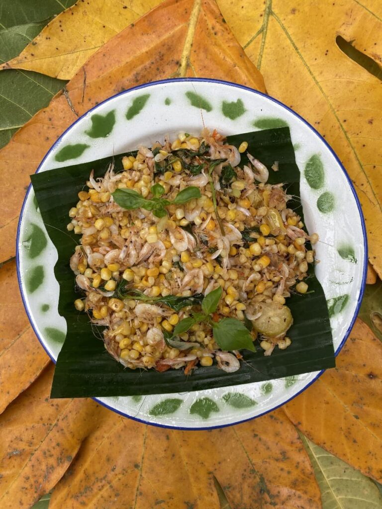Binde Biloti