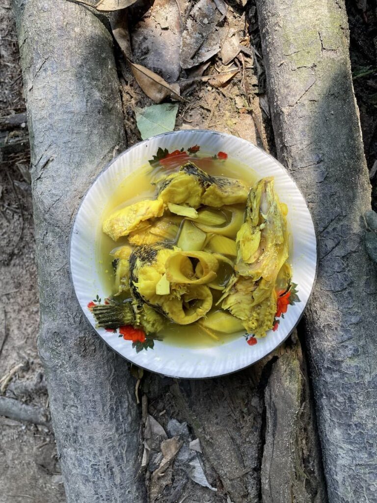 Gangan Umbut Nanga